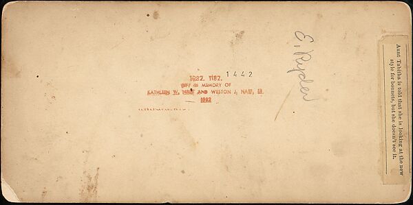 [Group of 42 Stereograph Views From the London Stereoscopic Company, 1860-1870, Many Hand-Colored to Illustrate Books], London Stereoscopic Company (British), Albumen silver prints