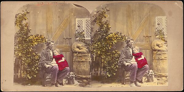 [Group of 42 Stereograph Views From the London Stereoscopic Company, 1860-1870, Many Hand-Colored to Illustrate Books], London Stereoscopic Company (British), Albumen silver prints