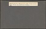 [Group of 12 Stereograph Views of the 1915 Panama-California Exposition, San Diego], Unknown, Albumen silver prints