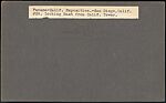 [Group of 12 Stereograph Views of the 1915 Panama-California Exposition, San Diego], Unknown, Albumen silver prints