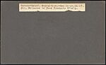 [Group of 12 Stereograph Views of the 1915 Panama-California Exposition, San Diego], Unknown, Albumen silver prints