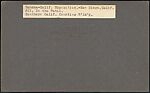 [Group of 12 Stereograph Views of the 1915 Panama-California Exposition, San Diego], Unknown, Albumen silver prints