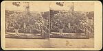 [Group of 13 Stereograph Views of The Great Sanitary Fair, Philadelphia, 1864, and the Royal Alexandra Infirmary Bazaar, Scotland, 1932], Unknown (American), Albumen silver prints
