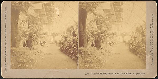 [Group of 66 Stereograph Views of the 1893 Chicago World's Fair and Columbian Exposition], Strohmeyer &amp; Wyman (American), Albumen silver prints