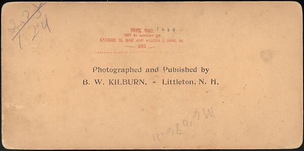 [Group of 66 Stereograph Views of the 1893 Chicago World's Fair and Columbian Exposition], Strohmeyer &amp; Wyman (American), Albumen silver prints