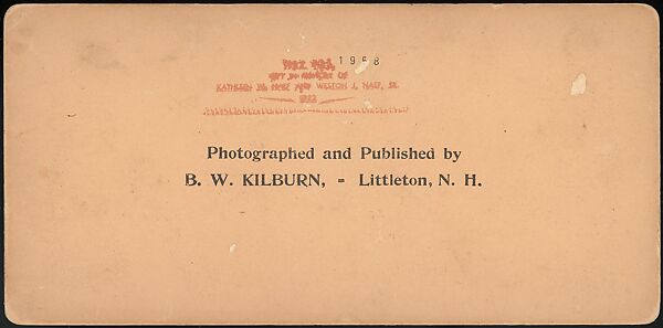 [Group of 66 Stereograph Views of the 1893 Chicago World's Fair and Columbian Exposition], Strohmeyer &amp; Wyman (American), Albumen silver prints