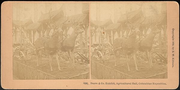 [Group of 66 Stereograph Views of the 1893 Chicago World's Fair and Columbian Exposition], Strohmeyer &amp; Wyman (American), Albumen silver prints