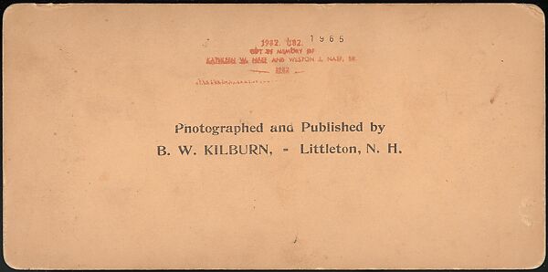 [Group of 66 Stereograph Views of the 1893 Chicago World's Fair and Columbian Exposition], Strohmeyer &amp; Wyman (American), Albumen silver prints