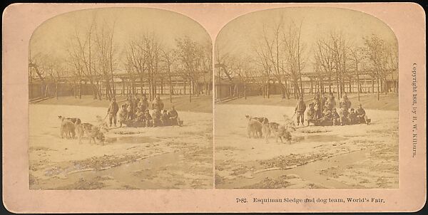 [Group of 66 Stereograph Views of the 1893 Chicago World's Fair and Columbian Exposition], Strohmeyer &amp; Wyman (American), Albumen silver prints