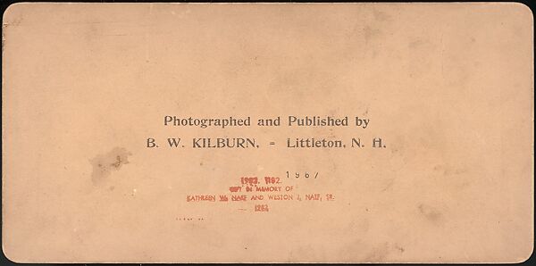 [Group of 66 Stereograph Views of the 1893 Chicago World's Fair and Columbian Exposition], Strohmeyer &amp; Wyman (American), Albumen silver prints