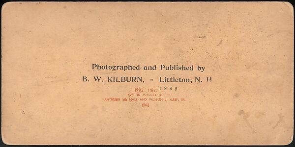 [Group of 66 Stereograph Views of the 1893 Chicago World's Fair and Columbian Exposition], Strohmeyer &amp; Wyman (American), Albumen silver prints