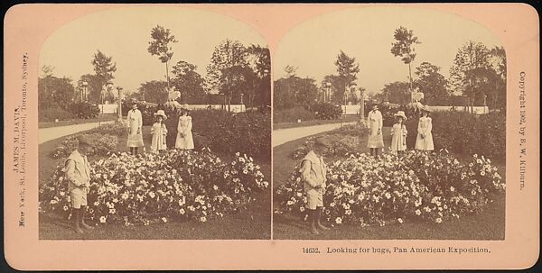 [Group of 66 Stereograph Views of the 1893 Chicago World's Fair and Columbian Exposition], Strohmeyer &amp; Wyman (American), Albumen silver prints