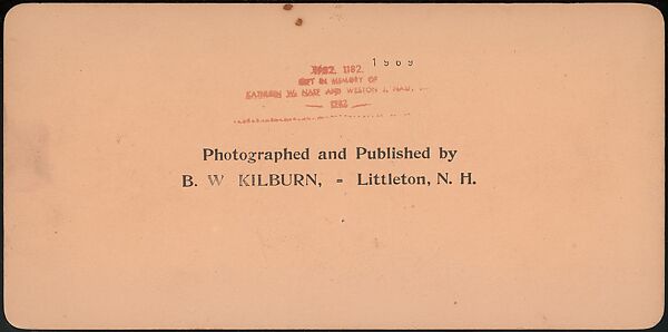[Group of 66 Stereograph Views of the 1893 Chicago World's Fair and Columbian Exposition], Strohmeyer &amp; Wyman (American), Albumen silver prints