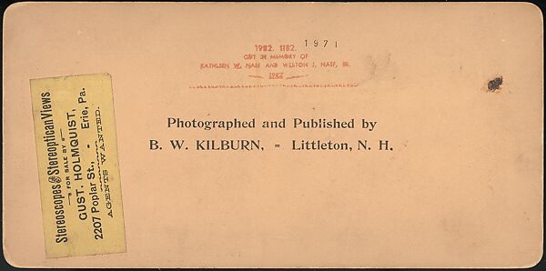 [Group of 66 Stereograph Views of the 1893 Chicago World's Fair and Columbian Exposition], Strohmeyer &amp; Wyman (American), Albumen silver prints