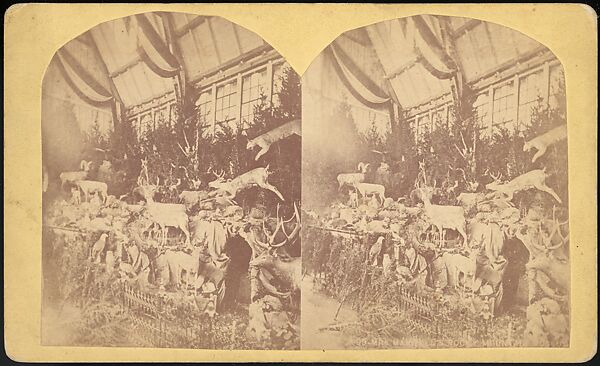 [Group of 66 Stereograph Views of the 1893 Chicago World's Fair and Columbian Exposition], Strohmeyer &amp; Wyman (American), Albumen silver prints