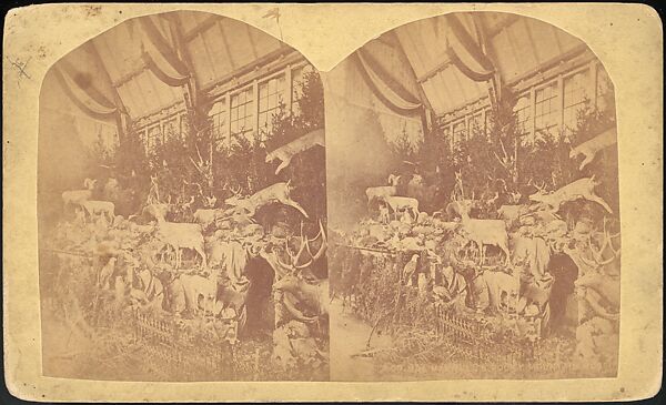 [Group of 66 Stereograph Views of the 1893 Chicago World's Fair and Columbian Exposition], Strohmeyer &amp; Wyman (American), Albumen silver prints