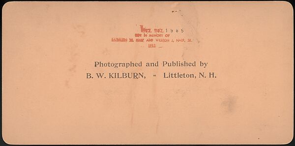 [Group of 66 Stereograph Views of the 1893 Chicago World's Fair and Columbian Exposition], Strohmeyer &amp; Wyman (American), Albumen silver prints