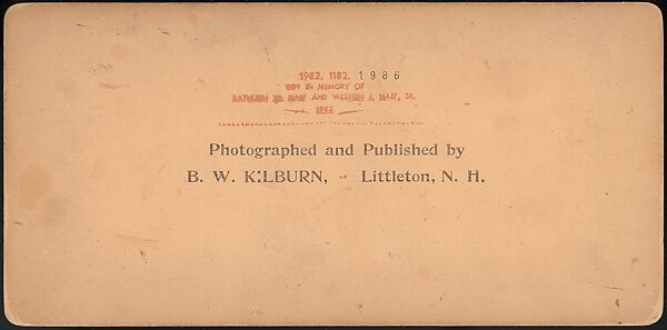 [Group of 66 Stereograph Views of the 1893 Chicago World's Fair and Columbian Exposition], Strohmeyer &amp; Wyman (American), Albumen silver prints