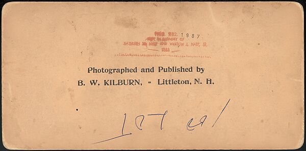 [Group of 66 Stereograph Views of the 1893 Chicago World's Fair and Columbian Exposition], Strohmeyer &amp; Wyman (American), Albumen silver prints