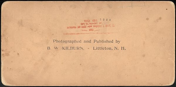 [Group of 66 Stereograph Views of the 1893 Chicago World's Fair and Columbian Exposition], Strohmeyer &amp; Wyman (American), Albumen silver prints