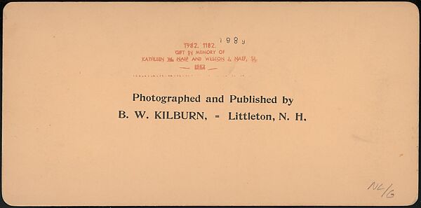 [Group of 66 Stereograph Views of the 1893 Chicago World's Fair and Columbian Exposition], Strohmeyer &amp; Wyman (American), Albumen silver prints