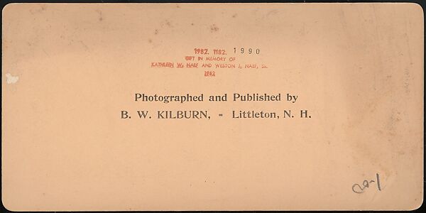 [Group of 66 Stereograph Views of the 1893 Chicago World's Fair and Columbian Exposition], Strohmeyer &amp; Wyman (American), Albumen silver prints