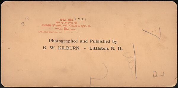 [Group of 66 Stereograph Views of the 1893 Chicago World's Fair and Columbian Exposition], Strohmeyer &amp; Wyman (American), Albumen silver prints