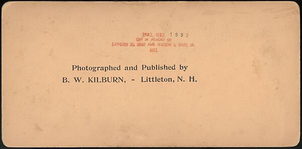 [Group of 66 Stereograph Views of the 1893 Chicago World's Fair and Columbian Exposition], Strohmeyer &amp; Wyman (American), Albumen silver prints