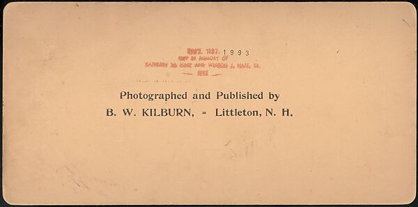 [Group of 66 Stereograph Views of the 1893 Chicago World's Fair and Columbian Exposition], Strohmeyer &amp; Wyman (American), Albumen silver prints