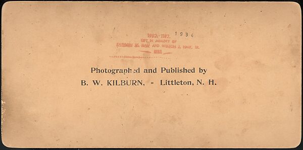 [Group of 66 Stereograph Views of the 1893 Chicago World's Fair and Columbian Exposition], Strohmeyer &amp; Wyman (American), Albumen silver prints