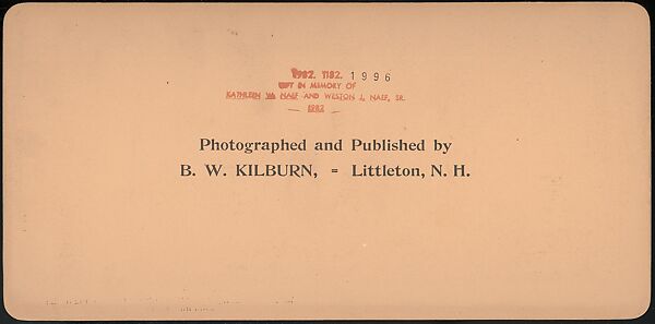 [Group of 66 Stereograph Views of the 1893 Chicago World's Fair and Columbian Exposition], Strohmeyer &amp; Wyman (American), Albumen silver prints