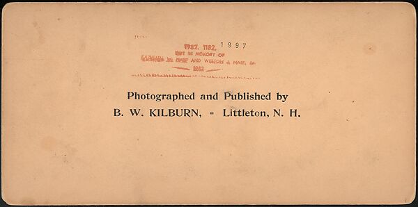 [Group of 66 Stereograph Views of the 1893 Chicago World's Fair and Columbian Exposition], Strohmeyer &amp; Wyman (American), Albumen silver prints
