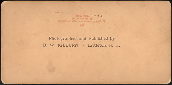[Group of 66 Stereograph Views of the 1893 Chicago World's Fair and Columbian Exposition], Strohmeyer &amp; Wyman (American), Albumen silver prints