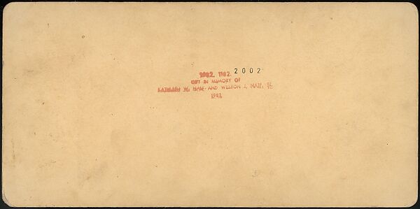 [Group of 66 Stereograph Views of the 1893 Chicago World's Fair and Columbian Exposition], Strohmeyer &amp; Wyman (American), Albumen silver prints