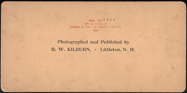 [Group of 66 Stereograph Views of the 1893 Chicago World's Fair and Columbian Exposition], Strohmeyer &amp; Wyman (American), Albumen silver prints