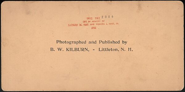 [Group of 66 Stereograph Views of the 1893 Chicago World's Fair and Columbian Exposition], Strohmeyer &amp; Wyman (American), Albumen silver prints