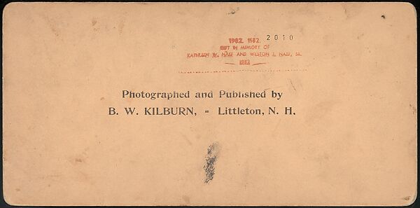 [Group of 66 Stereograph Views of the 1893 Chicago World's Fair and Columbian Exposition], Strohmeyer &amp; Wyman (American), Albumen silver prints