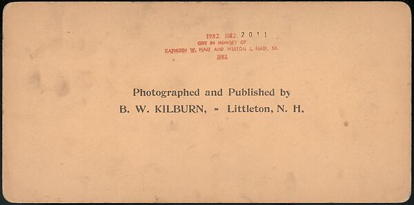 [Group of 66 Stereograph Views of the 1893 Chicago World's Fair and Columbian Exposition], Strohmeyer &amp; Wyman (American), Albumen silver prints