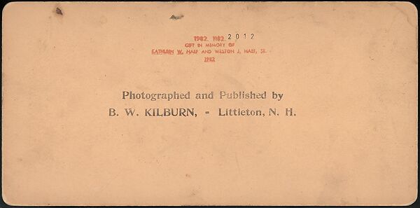 [Group of 66 Stereograph Views of the 1893 Chicago World's Fair and Columbian Exposition], Strohmeyer &amp; Wyman (American), Albumen silver prints