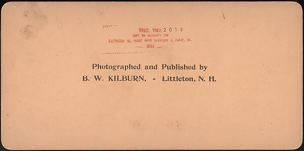 [Group of 66 Stereograph Views of the 1893 Chicago World's Fair and Columbian Exposition], Strohmeyer &amp; Wyman (American), Albumen silver prints