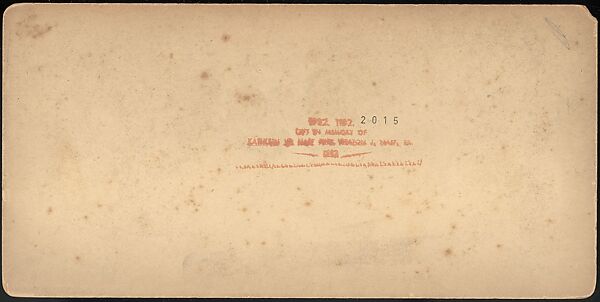 [Group of 66 Stereograph Views of the 1893 Chicago World's Fair and Columbian Exposition], Strohmeyer &amp; Wyman (American), Albumen silver prints