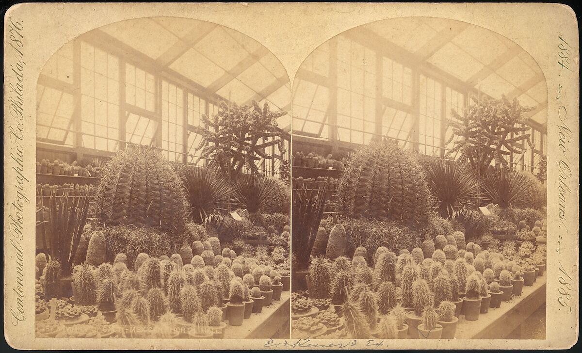 [Group of 18 Stereograph Views of the 1884/1885 New Orleans Centennial International Exhibition], Centennial Photographic Company (American, founded 1876), Albumen silver prints