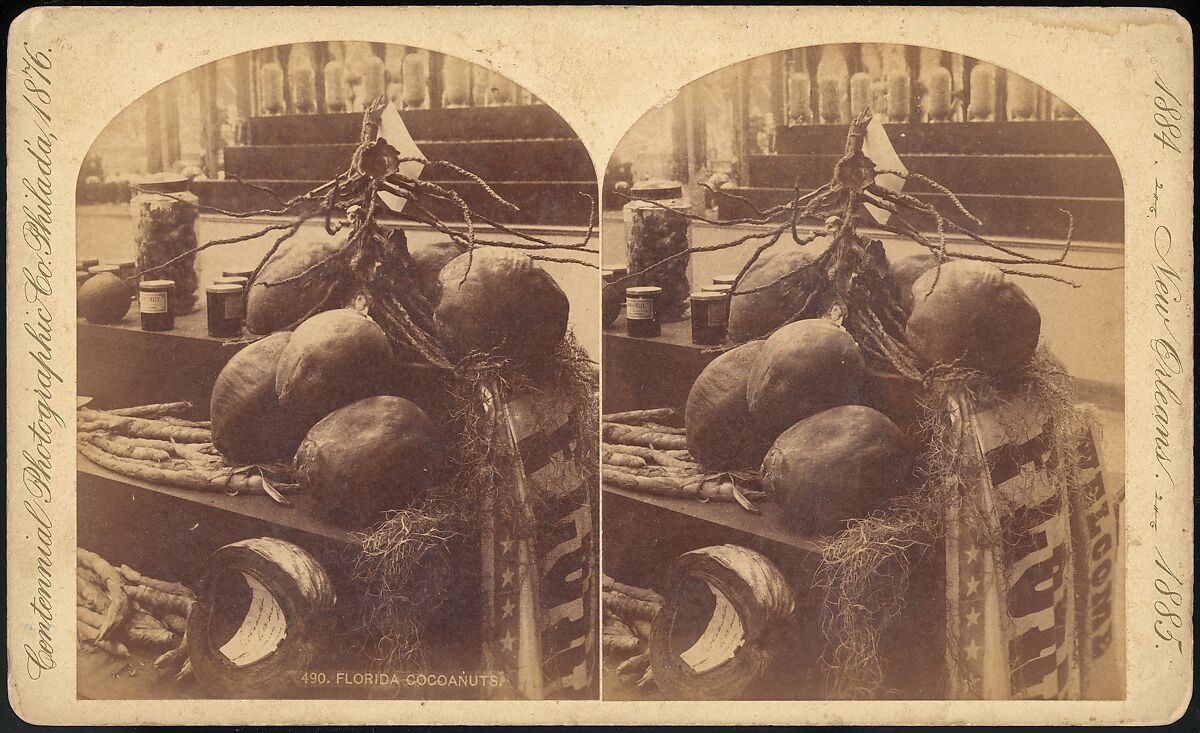 [Group of 18 Stereograph Views of the 1884/1885 New Orleans Centennial International Exhibition], Centennial Photographic Company (American, founded 1876), Albumen silver prints