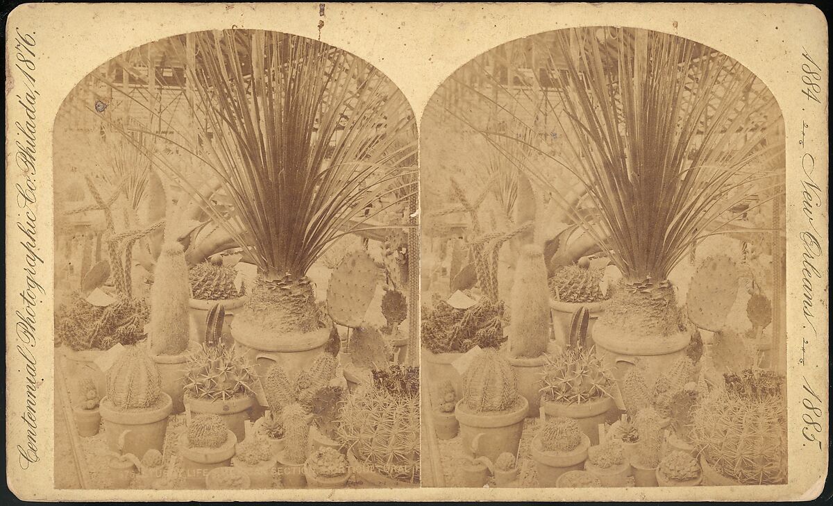 [Group of 18 Stereograph Views of the 1884/1885 New Orleans Centennial International Exhibition], Centennial Photographic Company (American, founded 1876), Albumen silver prints