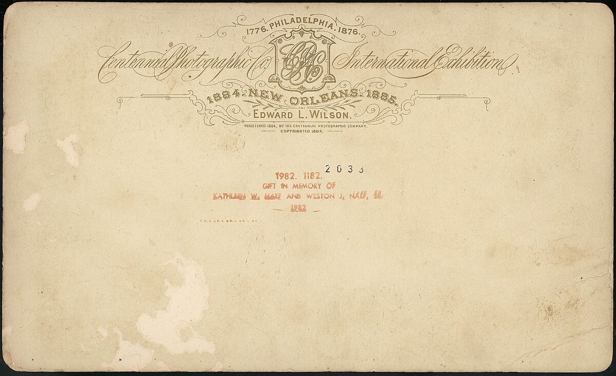 [Group of 18 Stereograph Views of the 1884/1885 New Orleans Centennial International Exhibition], Centennial Photographic Company (American, founded 1876), Albumen silver prints