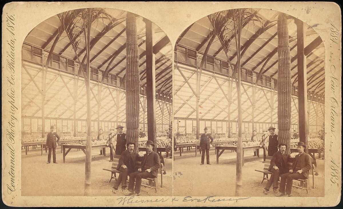 [Group of 18 Stereograph Views of the 1884/1885 New Orleans Centennial International Exhibition], Centennial Photographic Company (American, founded 1876), Albumen silver prints