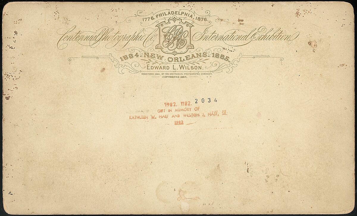 [Group of 18 Stereograph Views of the 1884/1885 New Orleans Centennial International Exhibition], Centennial Photographic Company (American, founded 1876), Albumen silver prints