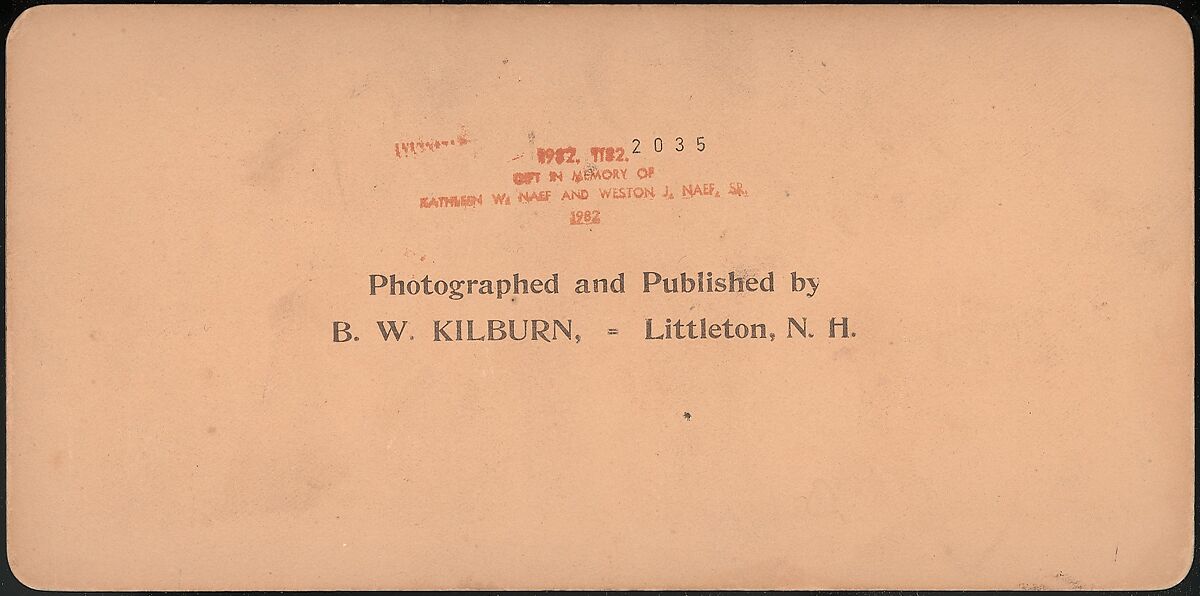 [Group of 3 Stereograph Views of the 1901 Pan American Exposition, Buffalo, New York], James M. Davis, Albumen silver prints