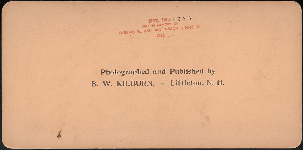 [Group of 3 Stereograph Views of the 1901 Pan American Exposition, Buffalo, New York], James M. Davis, Albumen silver prints