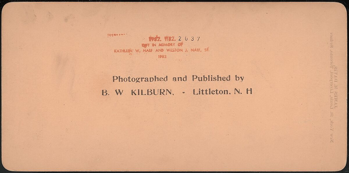 [Group of 3 Stereograph Views of the 1901 Pan American Exposition, Buffalo, New York], James M. Davis, Albumen silver prints